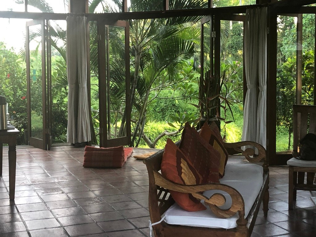 The Yoga House主图