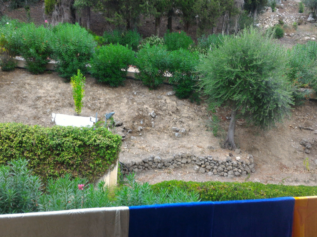 Louis Ionian Sun主图