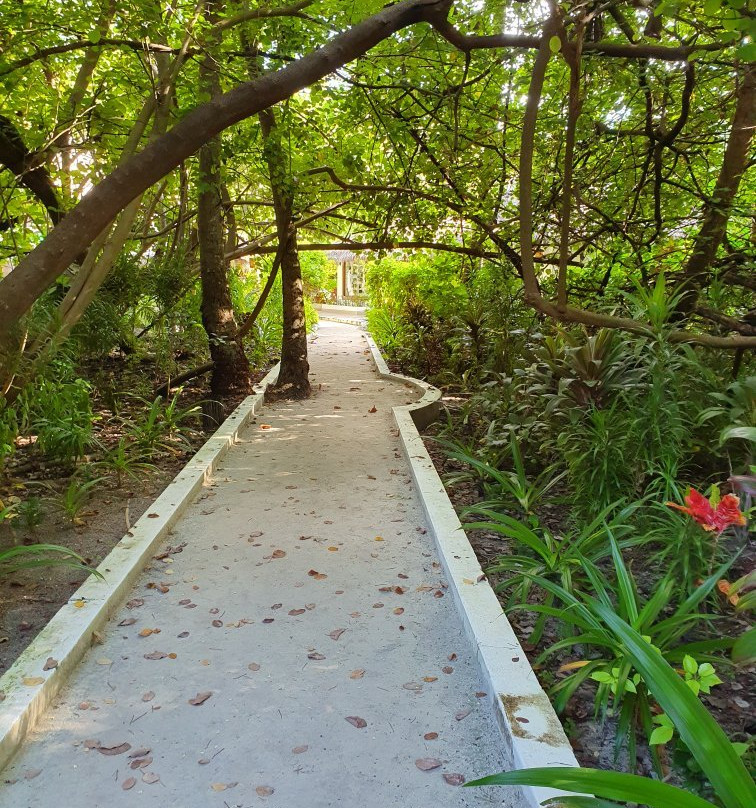 白雅度岛四星岛-马列南环礁必去景点