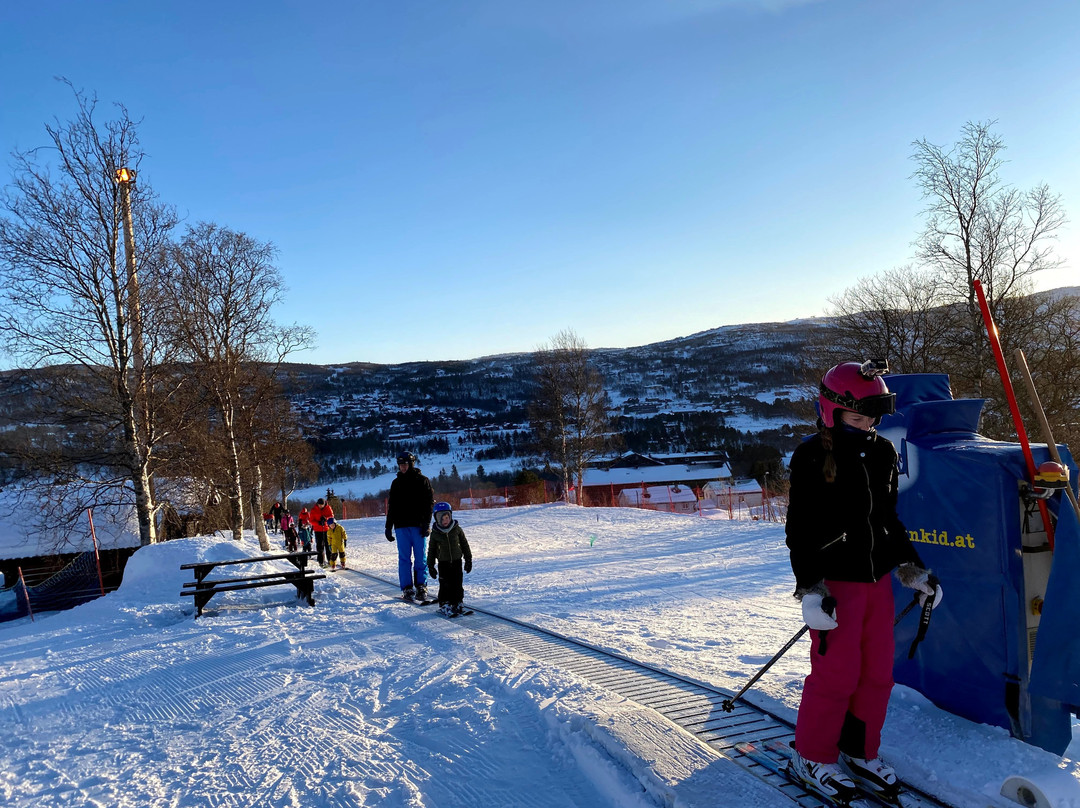 Geilo Skiskole - Slaatta景点图片