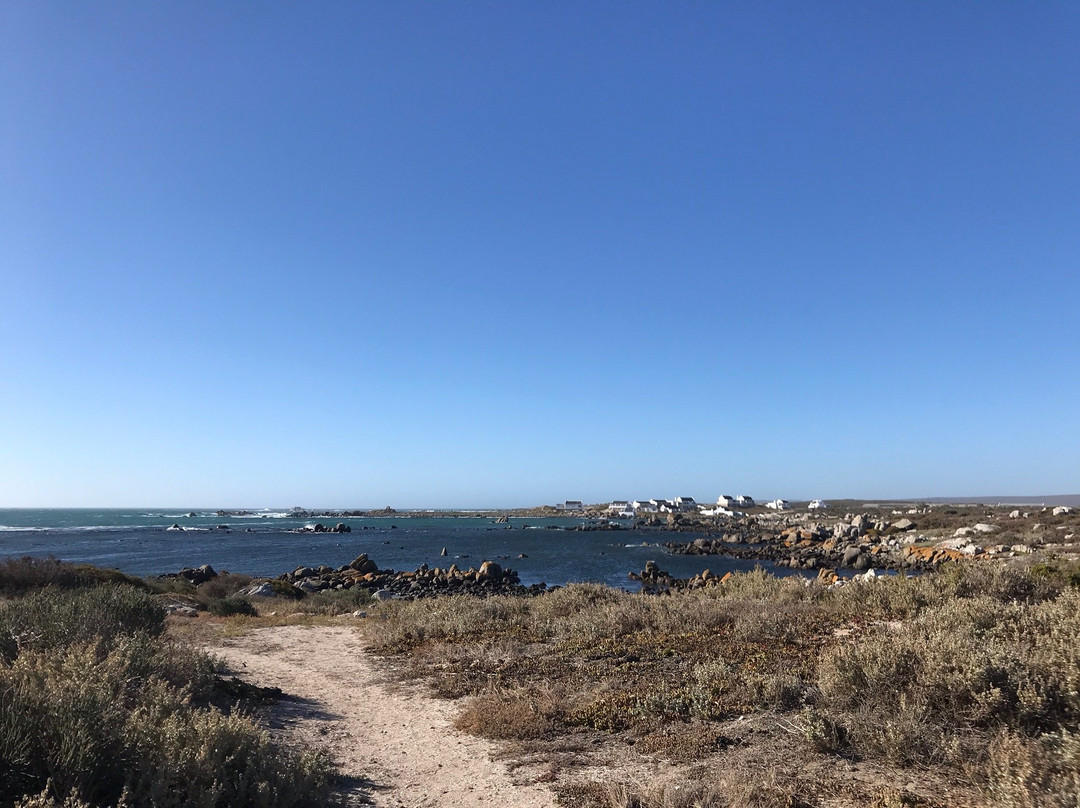 Abalone Guest House主图