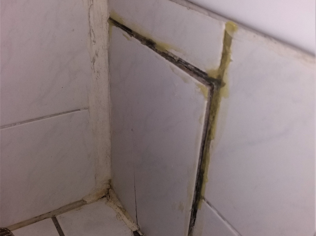 Waldhotel Berghof主图