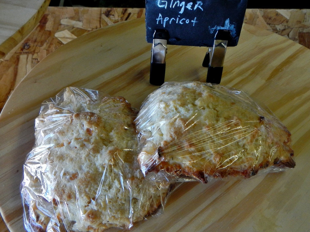 Roam Industry-Monticello必去景点