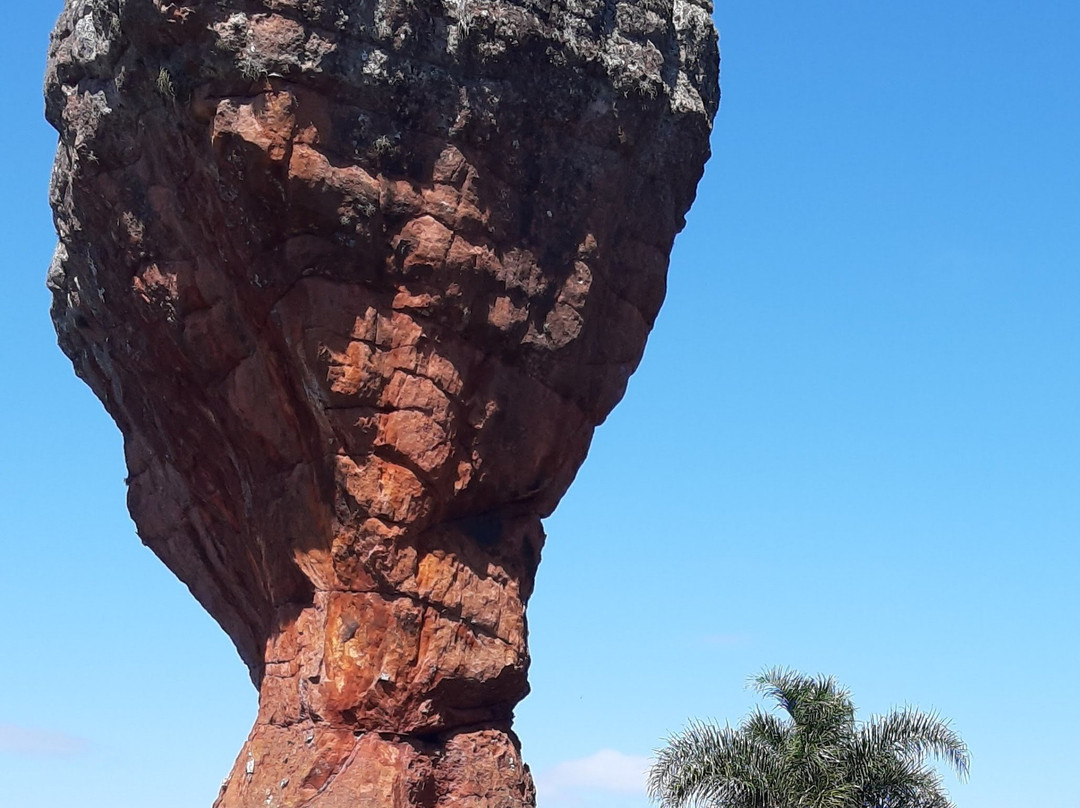 Parque Estadual de Vila Velha景点图片