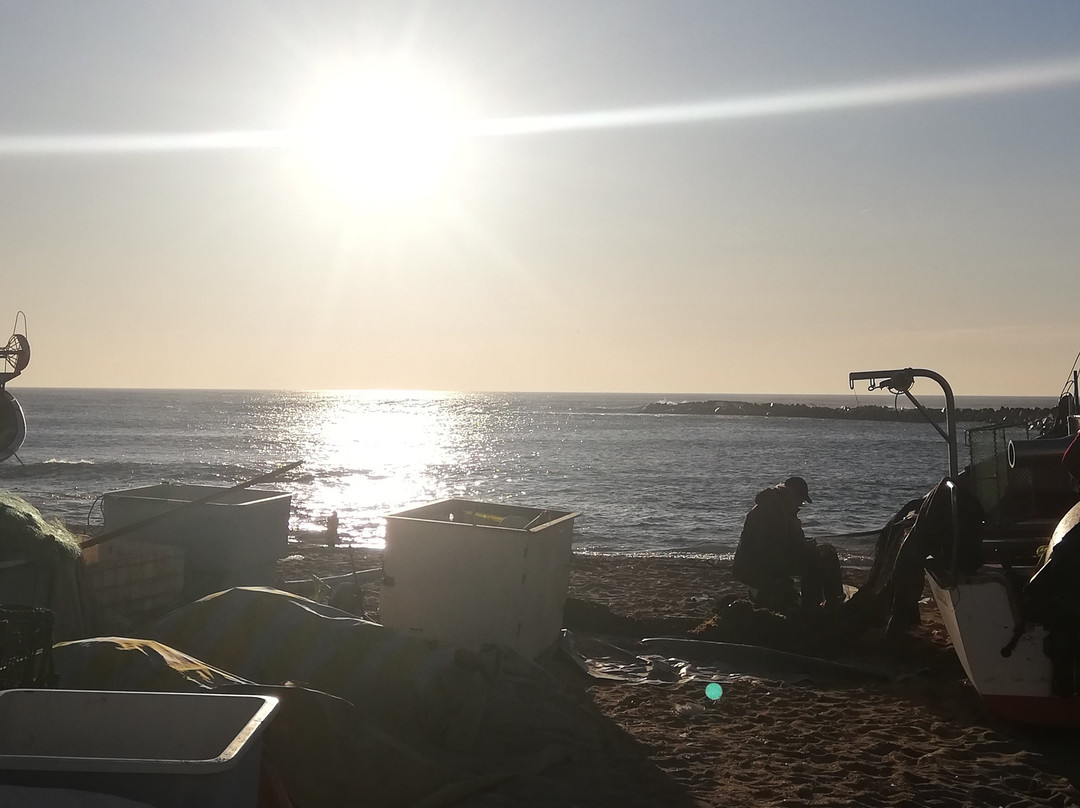 Praia de Vila Cha景点图片