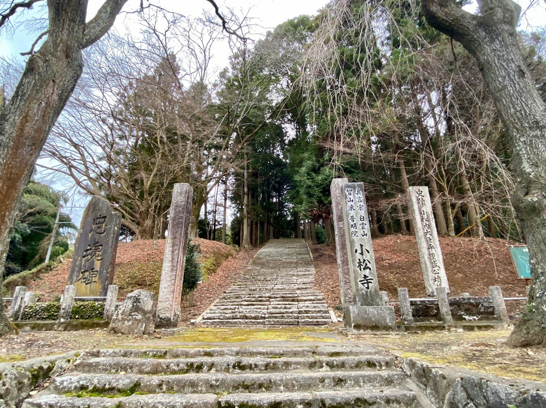 Komatsu-ji Temple景点图片