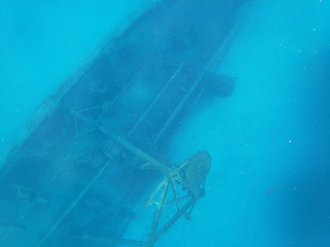 Kittiwake Shipwreck & Artificial Reef景点图片