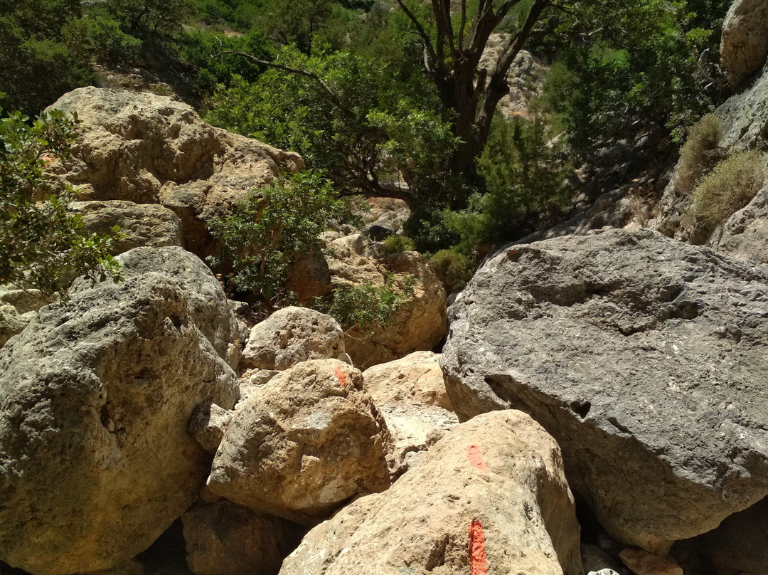 Anydri Gorge-Anidri必去景点