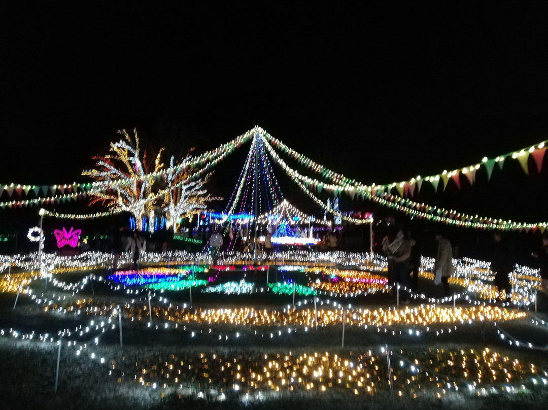 Ichinomiya City Hotel主图