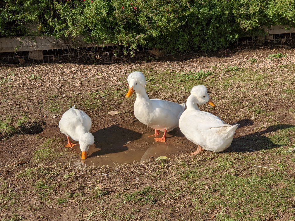 Seein' Spots Farm-索尔万必去景点