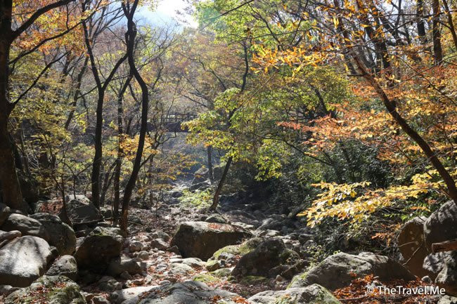 Jirisan National Park景点图片