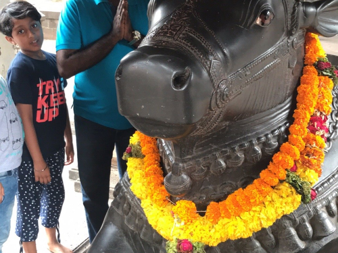Dholya Ganpati Mandir景点图片