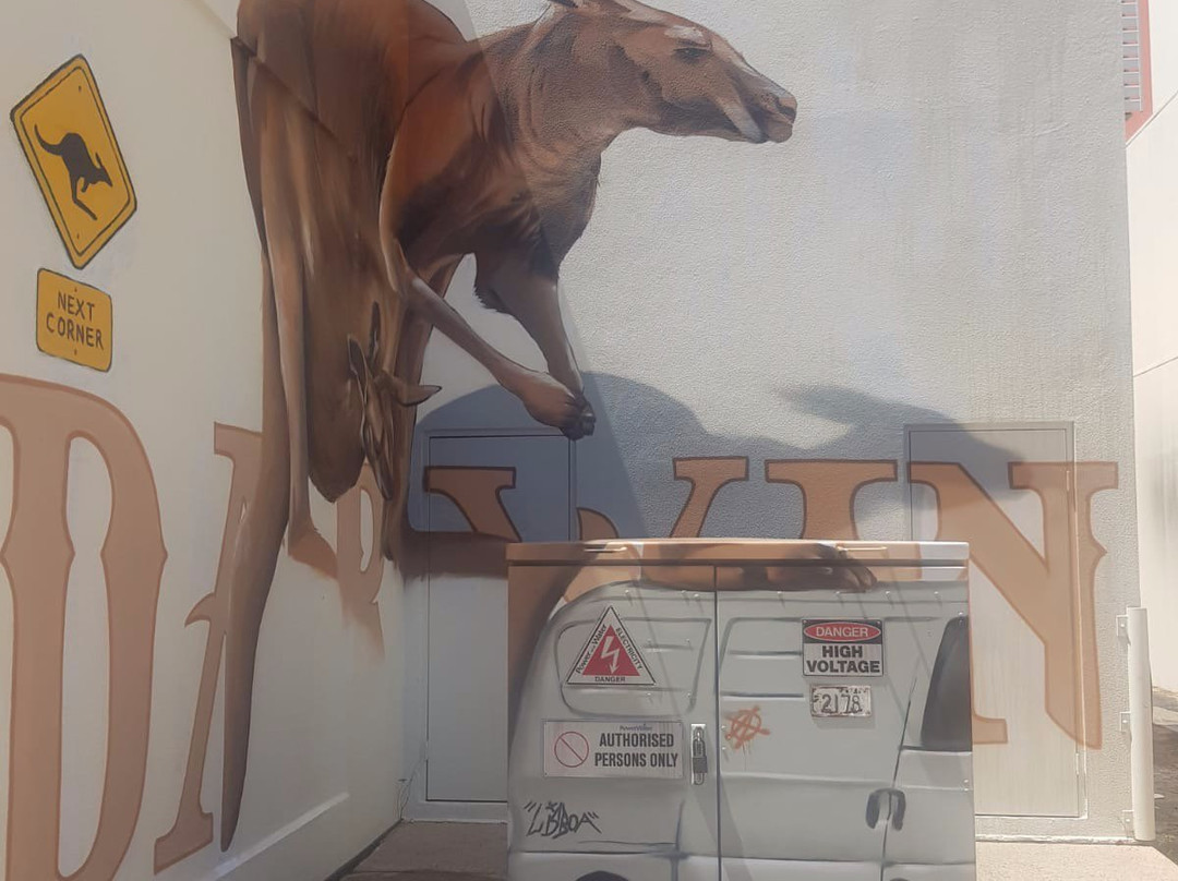 Darwin Street Art Festival-达尔文市必去景点