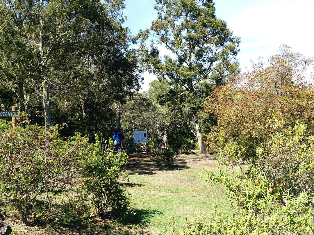 Tamarinaie Ravine Blanche景点图片