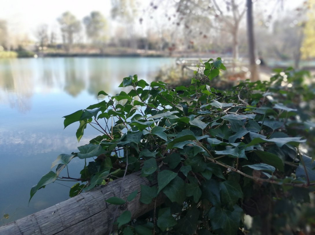 Albufera de Anna景点图片