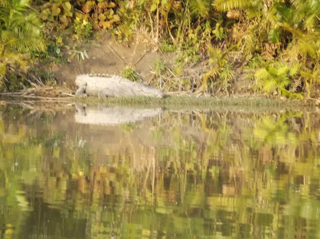 Katarniaghat Wildlife Sanctuary景点图片