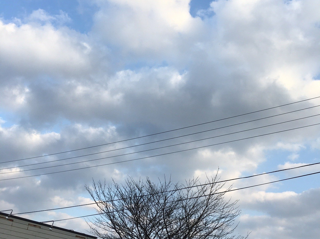 昭和レトロと珈琲の店 コルビジェ