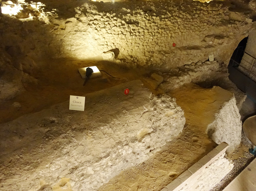 Museo del Foro de Caesaraugusta-萨拉戈萨省必去景点