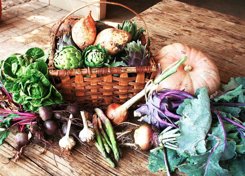 Wickedfood Earth Country Cooking School-Hekpoort必去景点