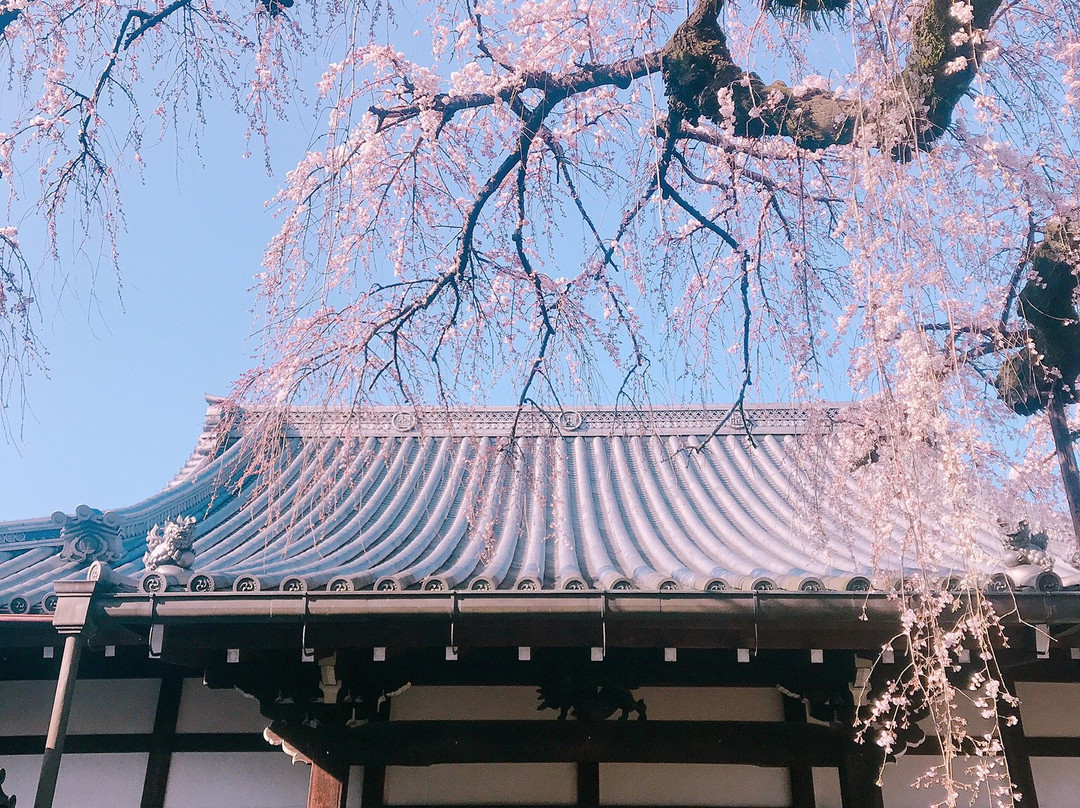 Emmyo-ji Temple-犬山市必去景点