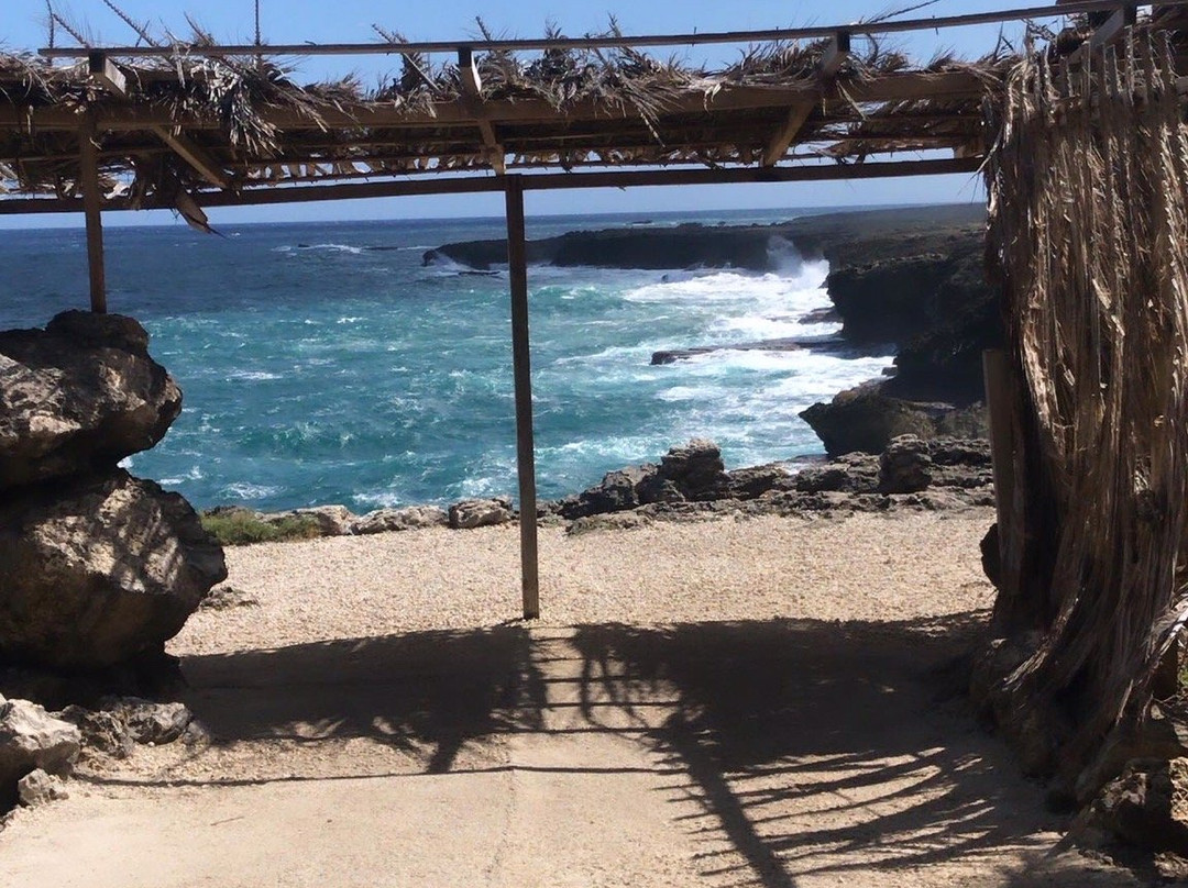 Hang Ten Adventures-布里奇顿必去景点