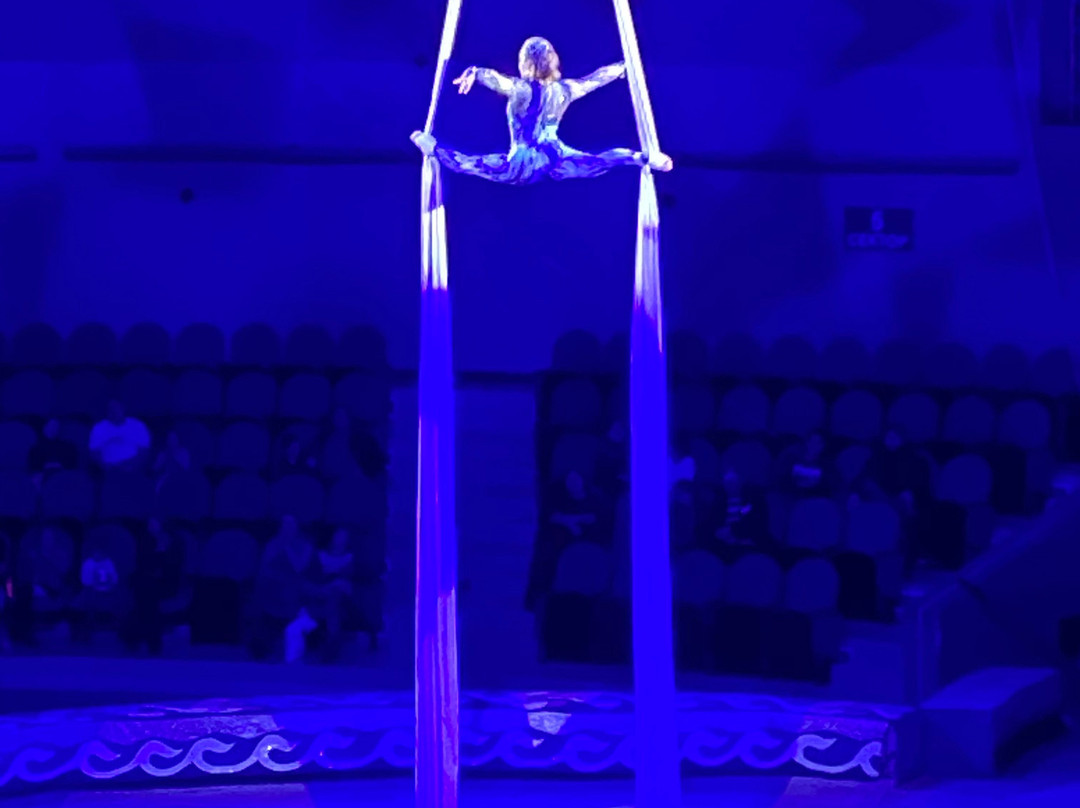 Vladivostok Circus-海参崴必去景点