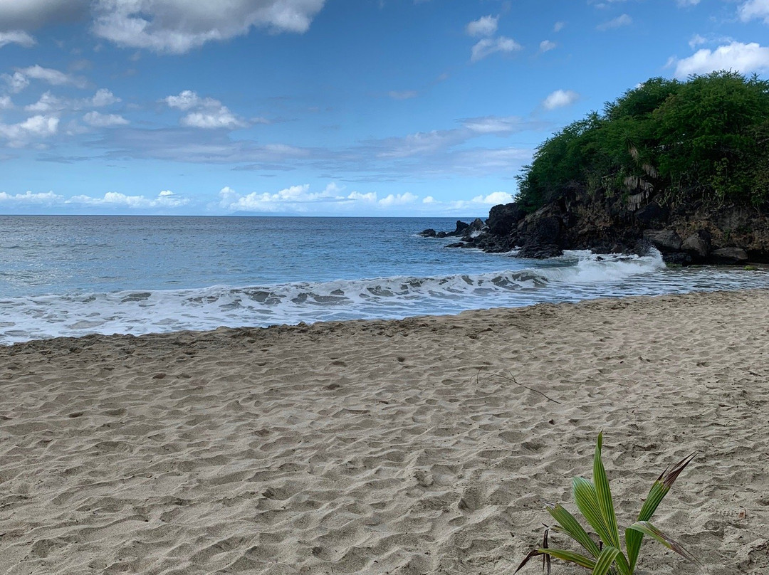 Miralys Restaurant Bar