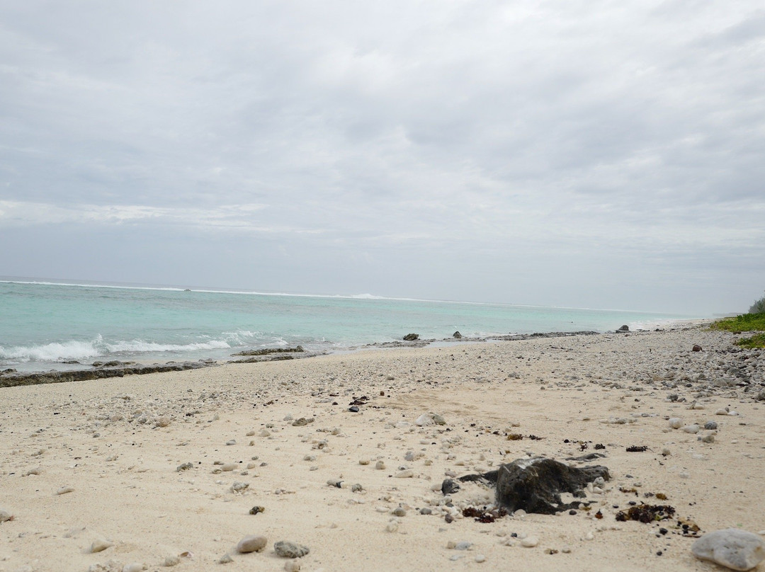 Black Rock Beach景点图片