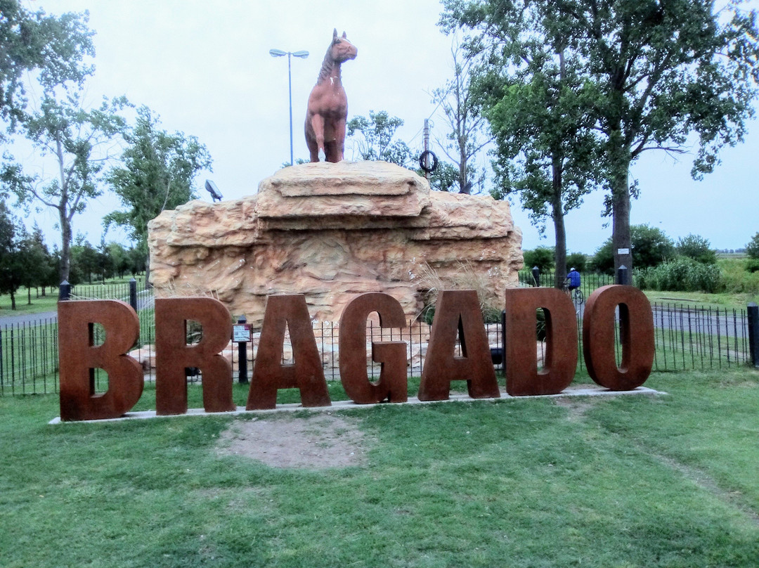 Laguna de Bragado景点图片