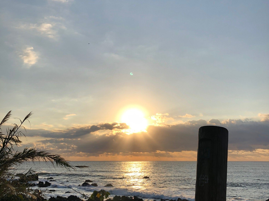 Cape Inomisaki Coast-黑潮町必去景点