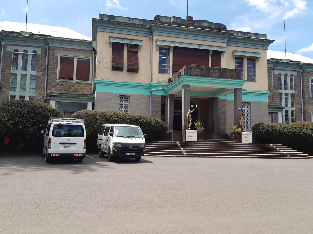 Rotate Ethiopia Tours And Addis Ababa city Tours Guide景点图片
