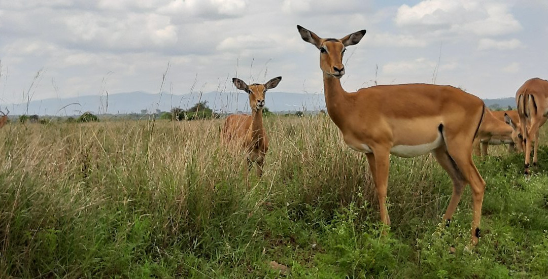 South Africa Travel Company Day Tours-开普敦中心区必去景点