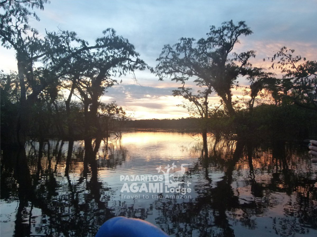 Parque Nacional Yasuni-Coca必去景点