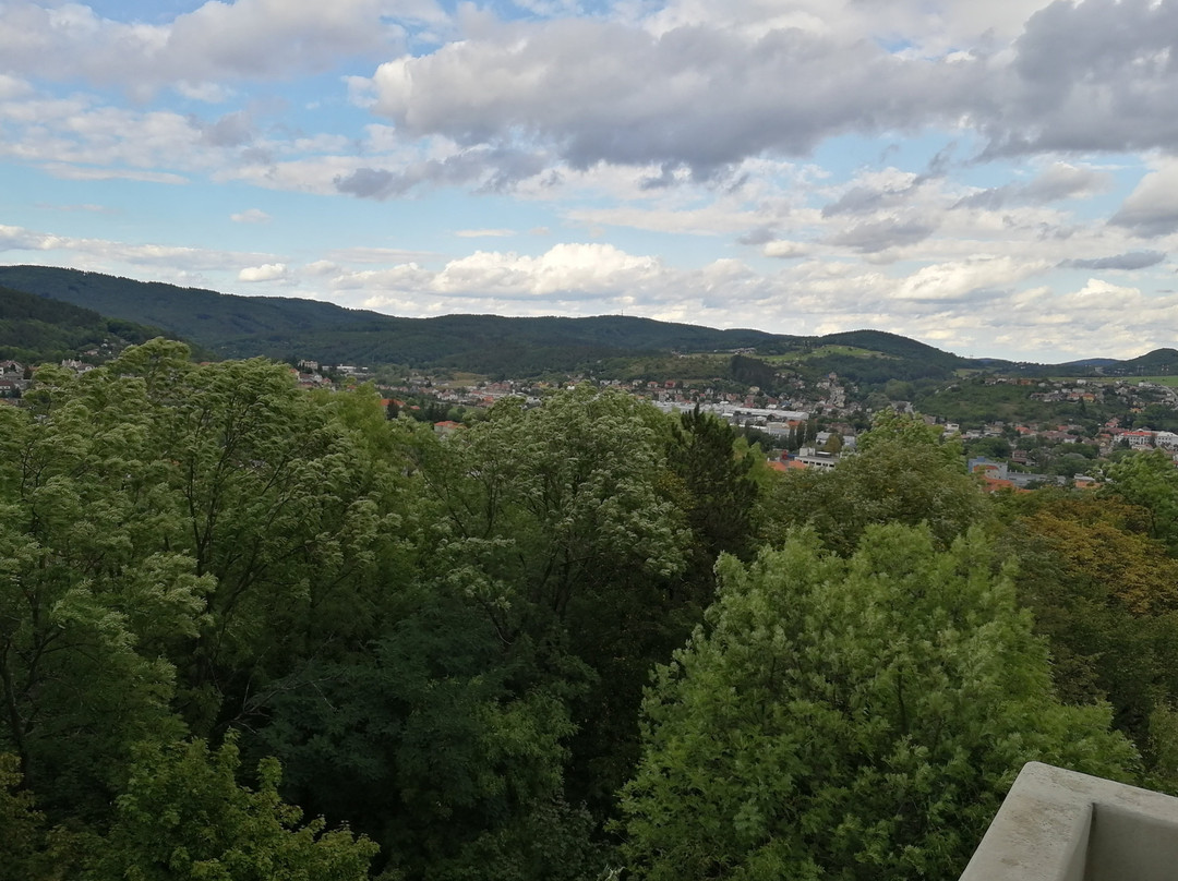 Lookout tower Městská hora景点图片