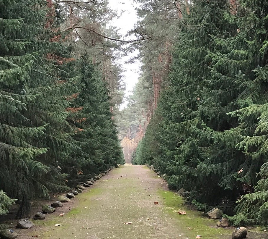 Muzeum Byłego Obozu Zagłady景点图片