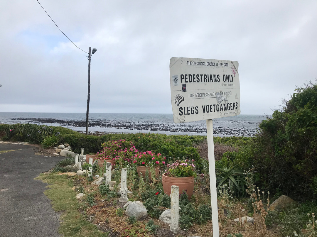 Slangkop Point Lighthouse-Kommetjie必去景点