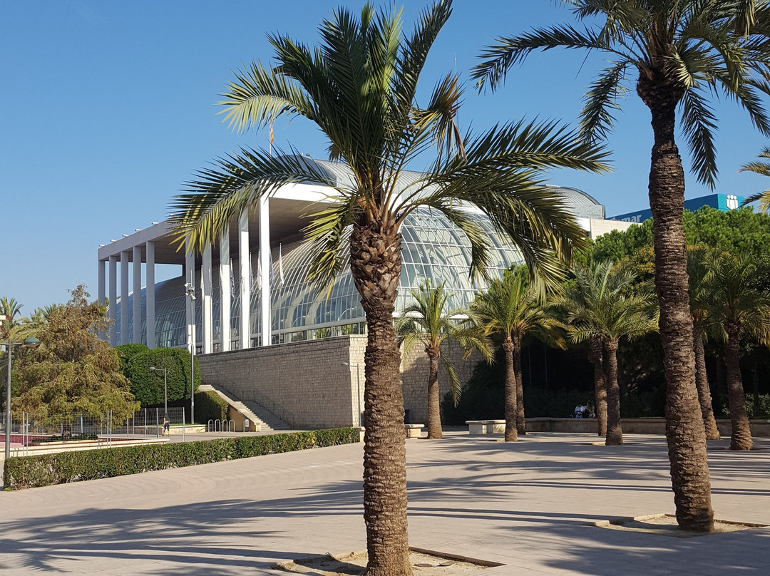 Palacio De La Música De Valencia景点图片