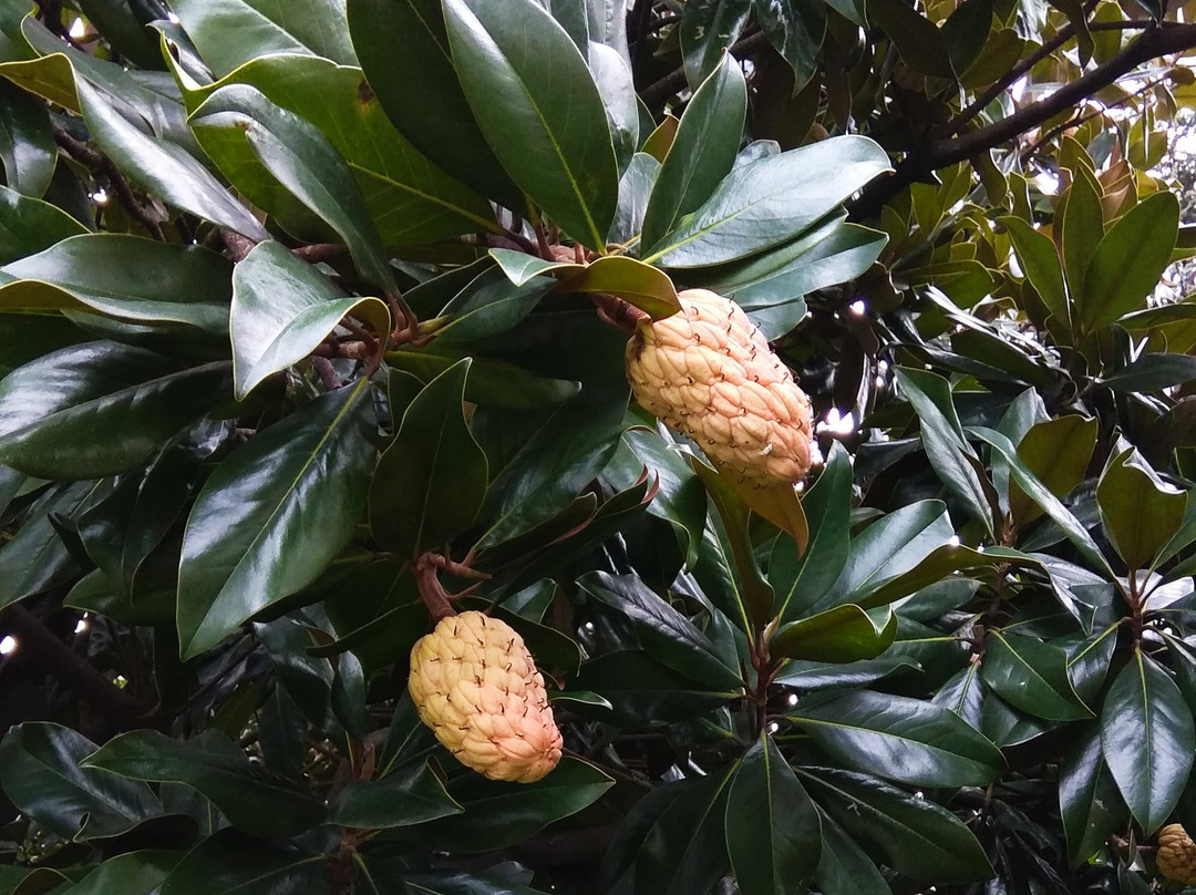 Hotel Villa Garden Braga主图