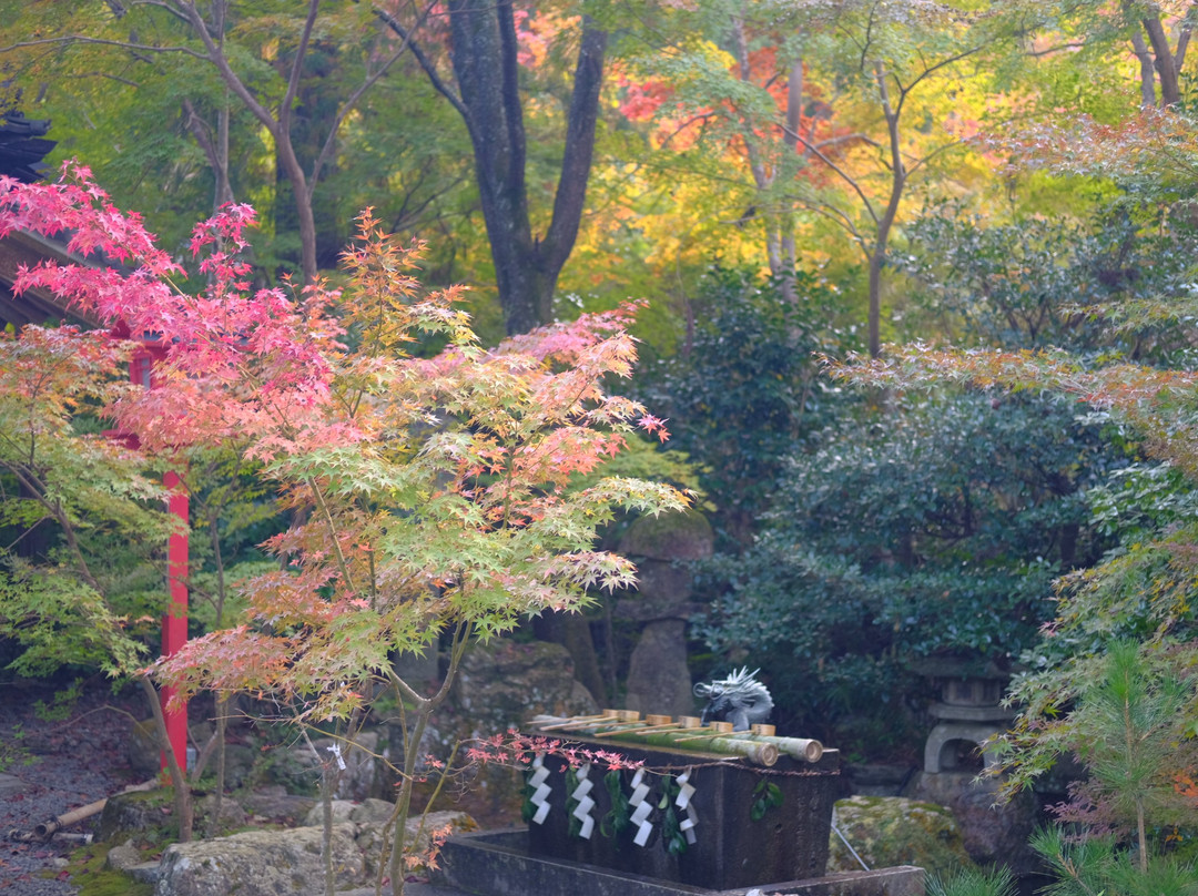 Kuwayama Shrine-龟冈市必去景点
