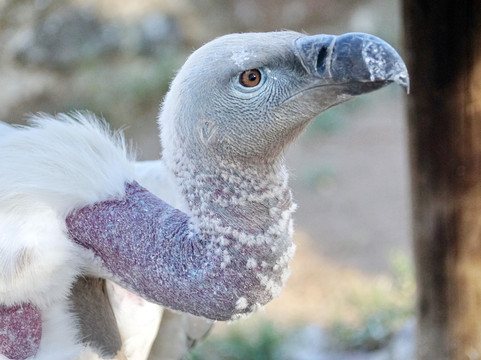 Bundox Safari Co.-霍德斯普鲁特必去景点