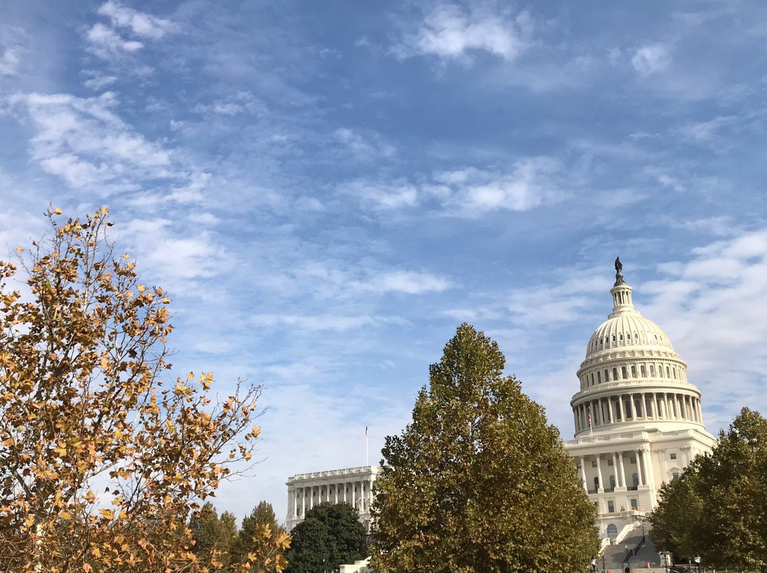 Big Bus Tours景点图片