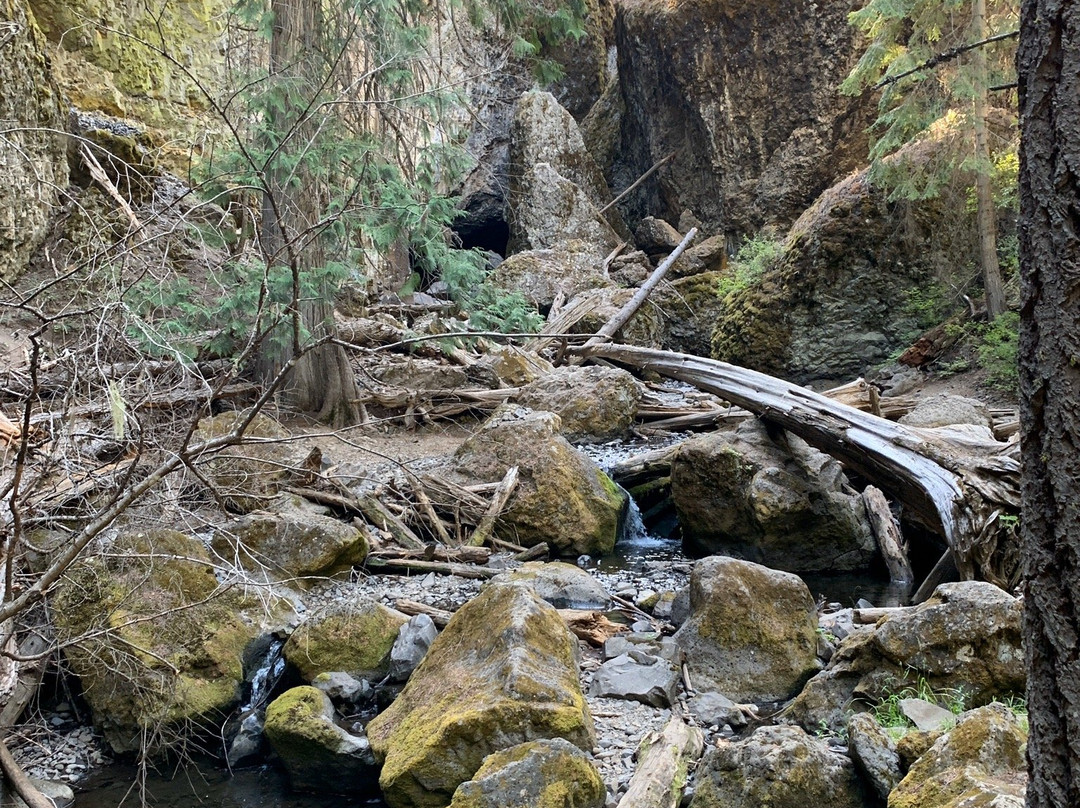 Boulder Cave Trail景点图片