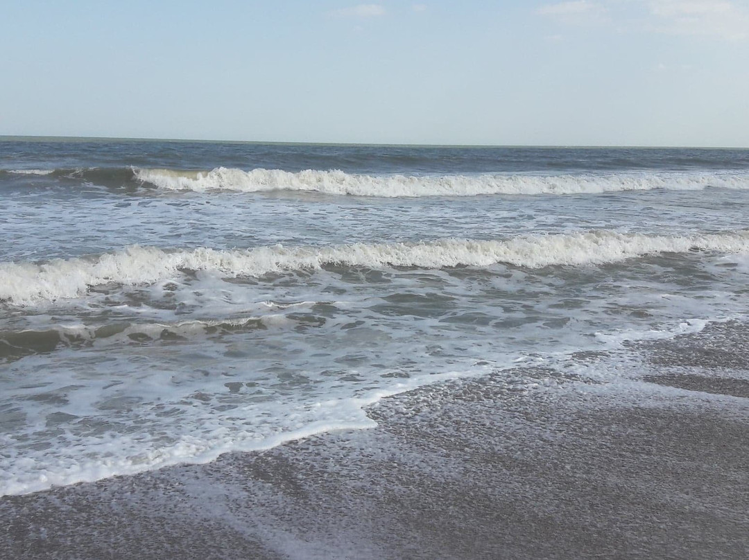 Main Beach Park-费尔南迪纳岛必去景点
