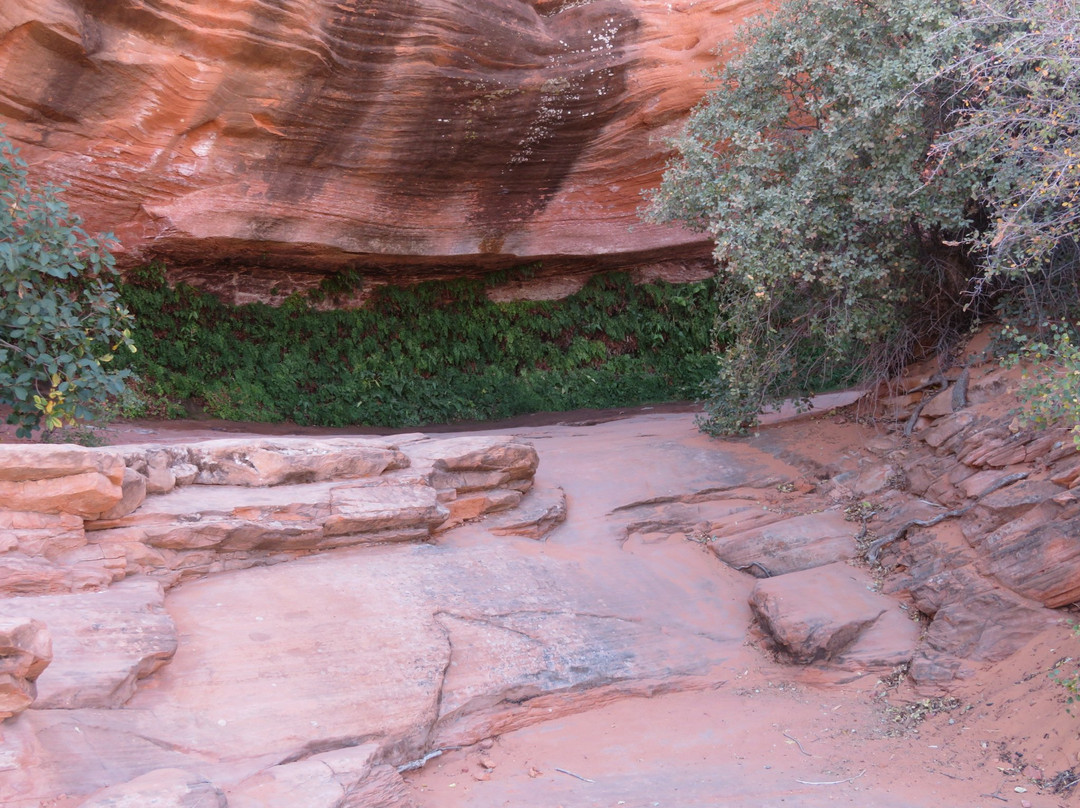 Hanging Gardens Trail-佩吉必去景点