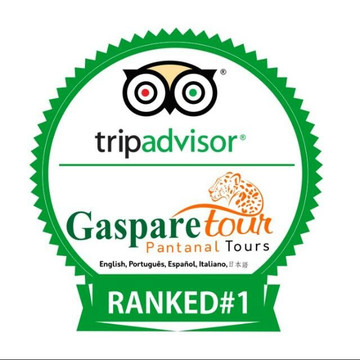 Gasparetour Pantanal Tours-Cuiaba必去景点