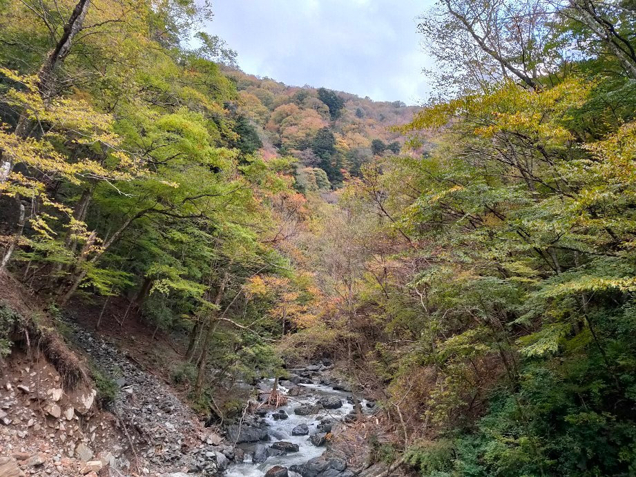 Taba Canyon景点图片