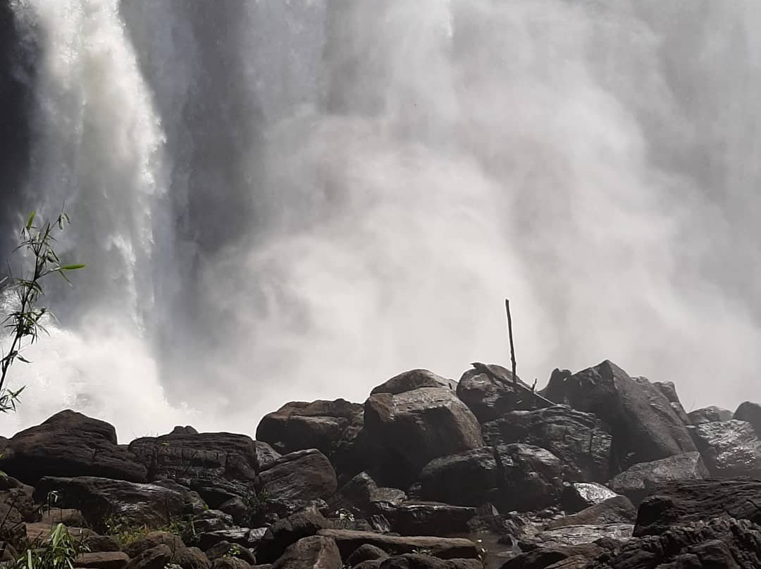 Athirappilly Waterfalls景点图片