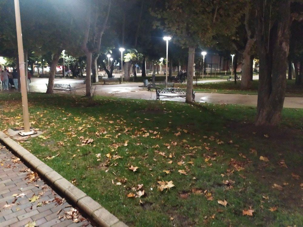 Parque de la Alamedilla景点图片
