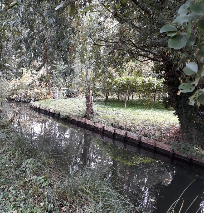 Parc Saint-Pierre景点图片