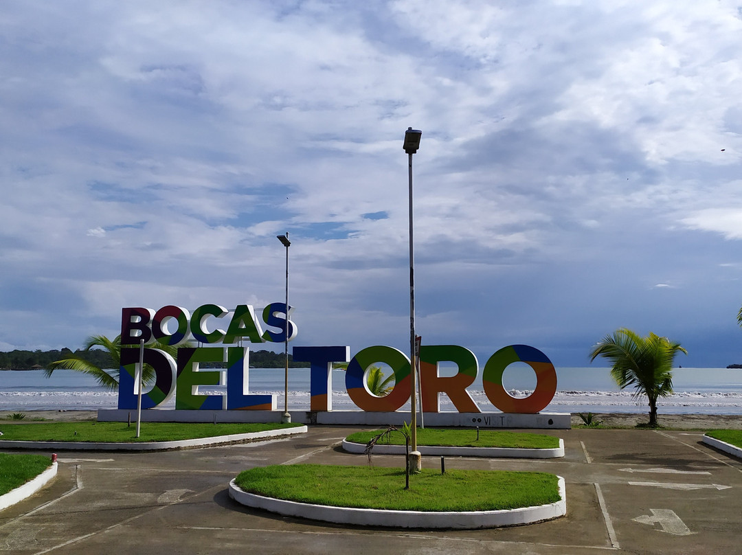 Bocas Ebikes景点图片